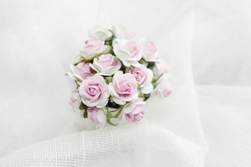 Розы 15 мм, белые с розовым 10шт.